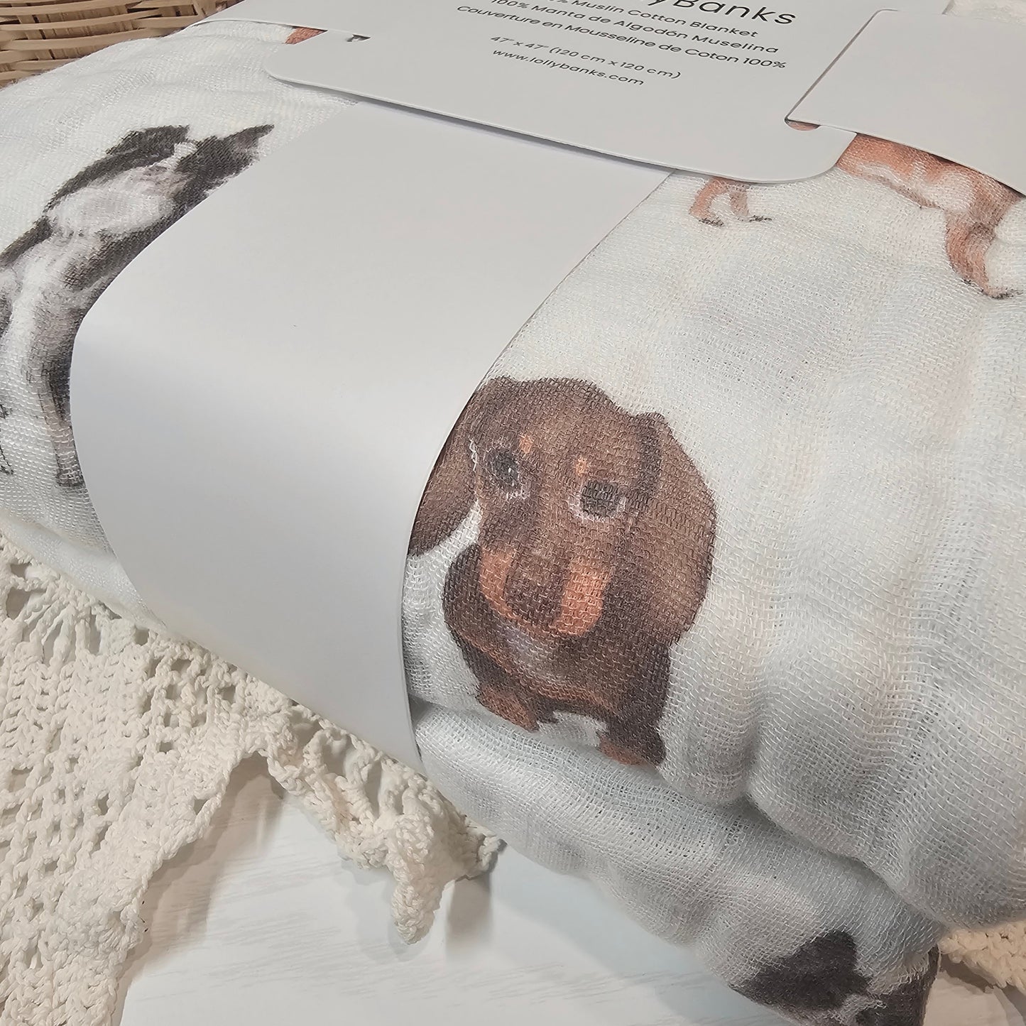 DOG PRINT BLANKET